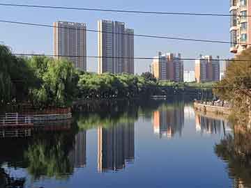 实时监控汽车油耗与股市牛散，智能科技引领投资新纪元