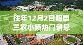 阳邑三农小镇蜕变日,学习与创新引领的自信与成就之旅