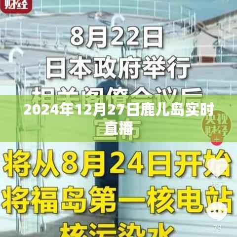鹿儿岛实时直播,探索美丽的风景与风情