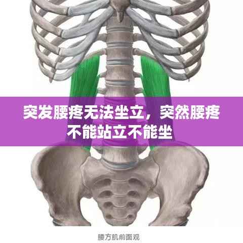 突发腰疼无法坐立,突然腰疼不能站立不能坐